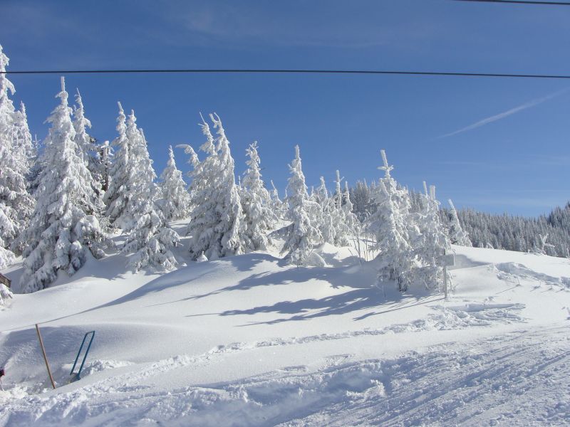 ski10wald