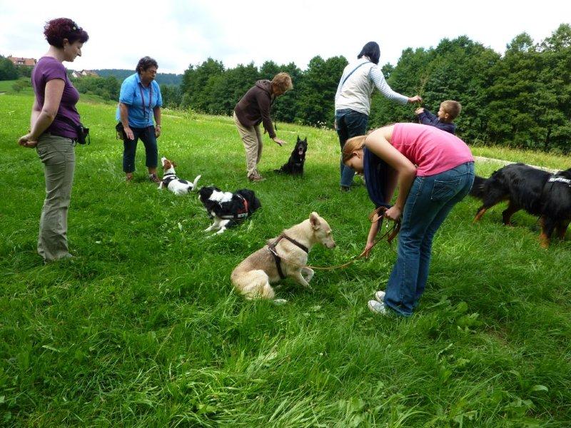 2010-08-03 Lauftreff 005