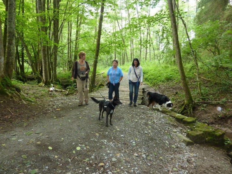 2010-08-03 Lauftreff 023