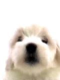 9676899 9676899