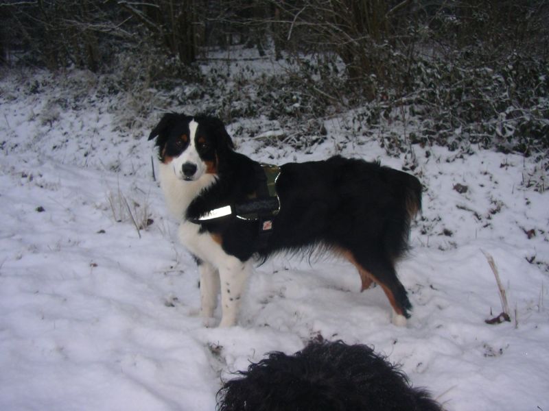 Amy15.01.09