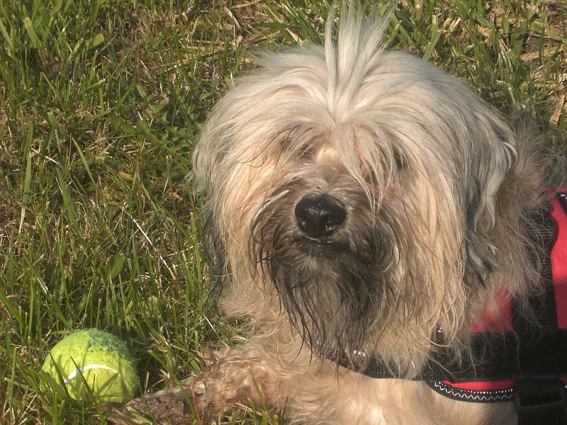 Tessa 8 Jahre Tessa 8 Jahre