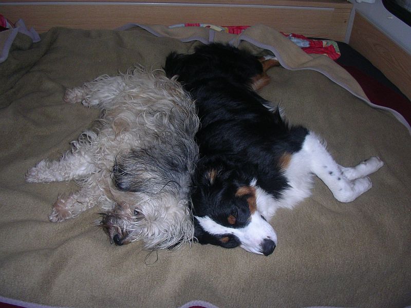 Tessa+ Amy