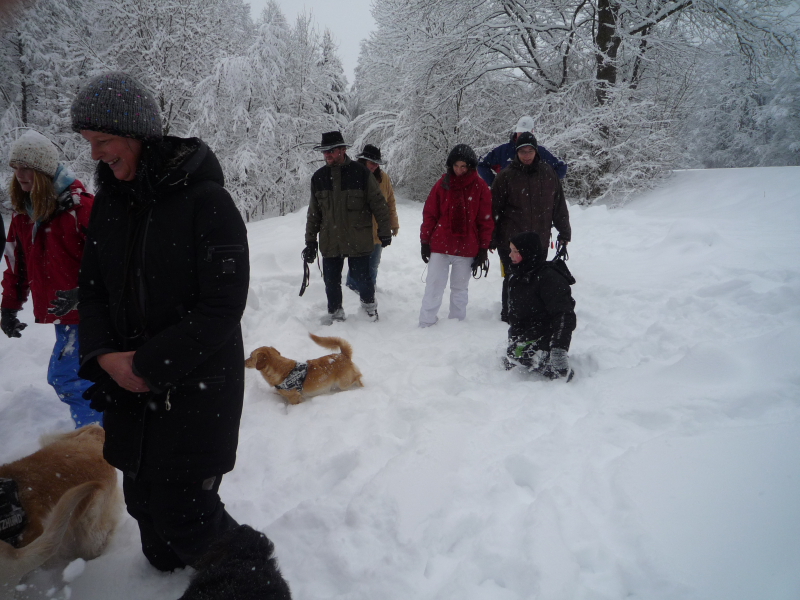 Weihnachtslauf_20100010