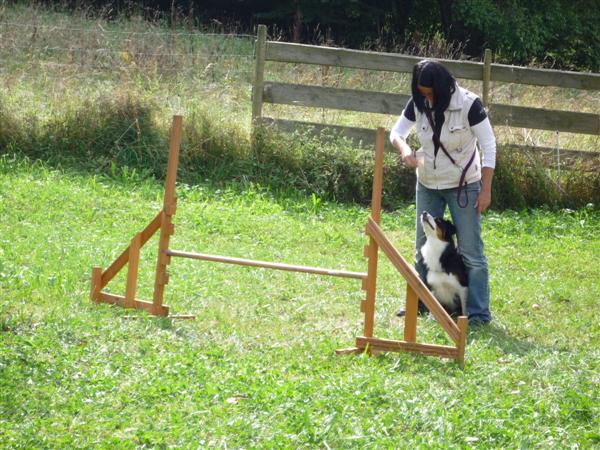 agility4 agility4