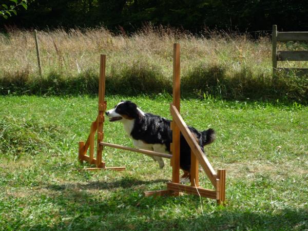 agility7 agility7