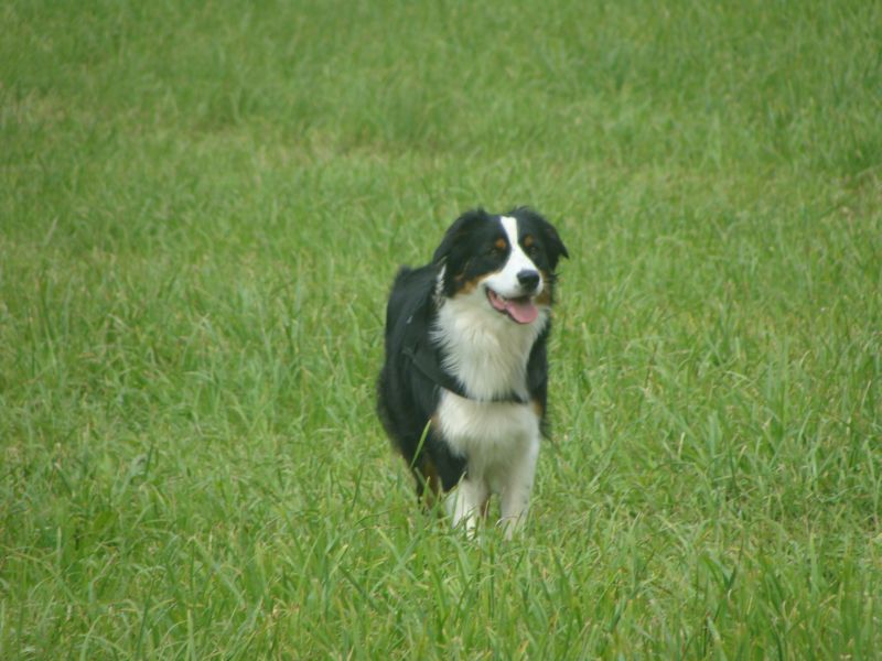 amy07