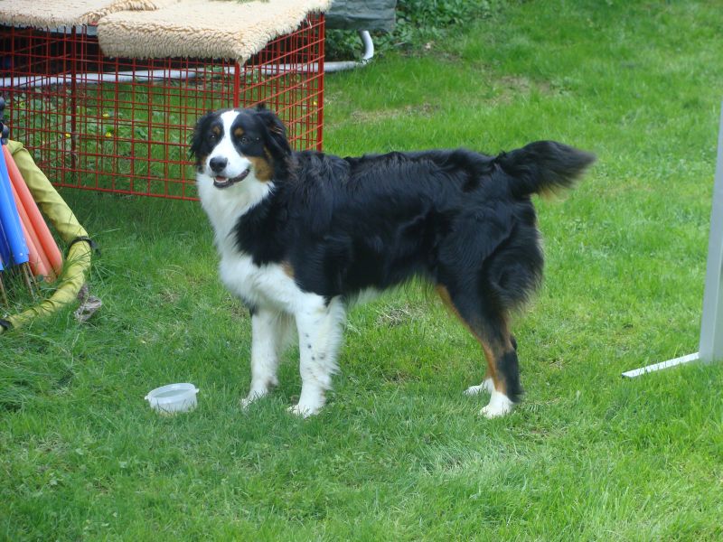 amy april 2009