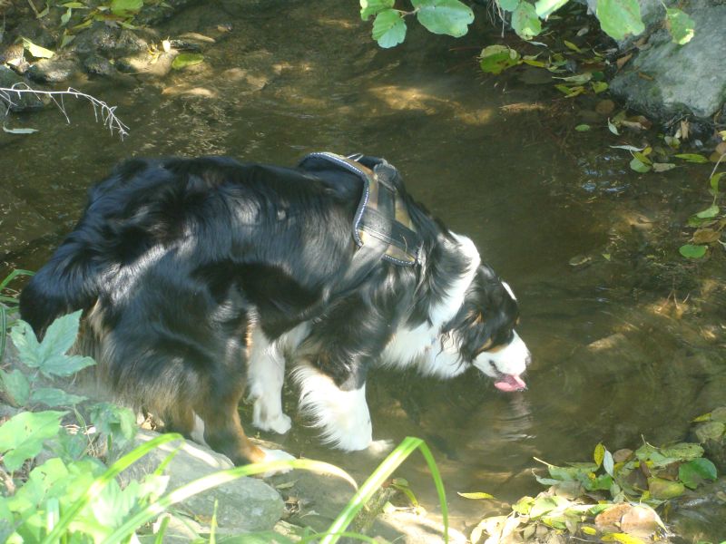 amy beim trinken