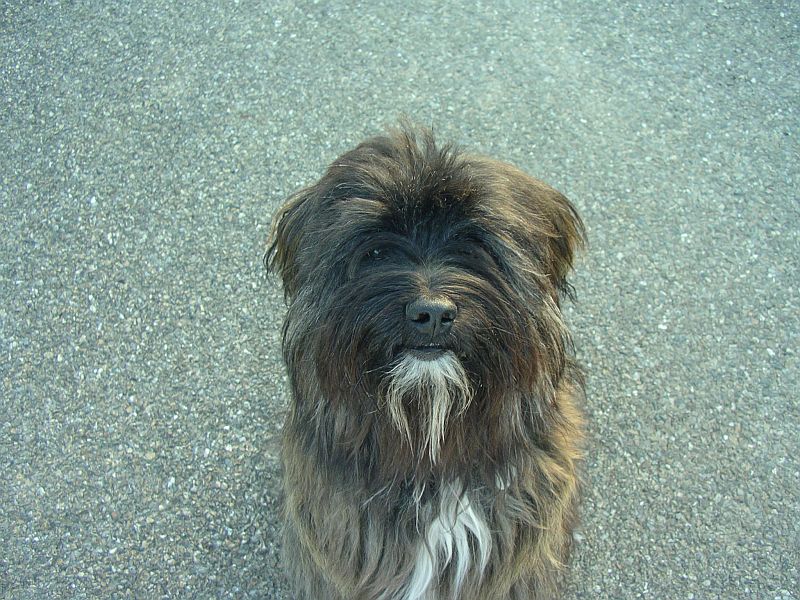 anny 2007