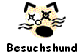 Besuchshund