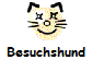 Besuchshund