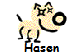 Hasen