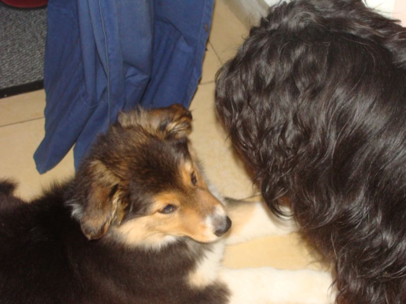 babu3