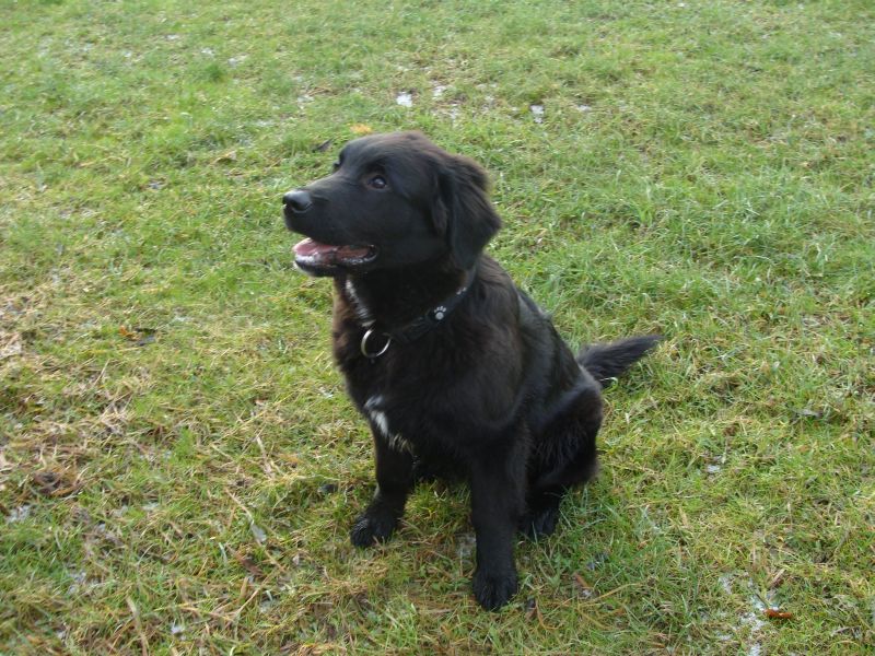 balu2