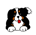 dogwag