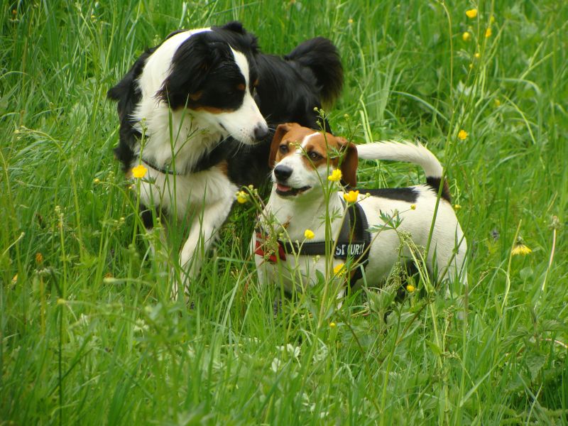 dorrie und amy