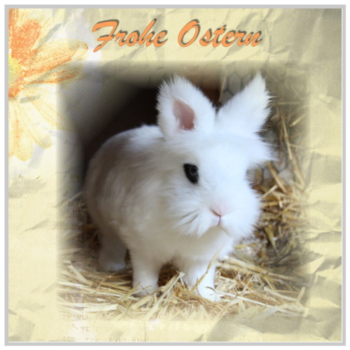 frohe ostern