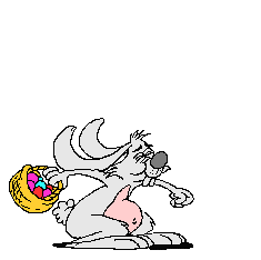 hase