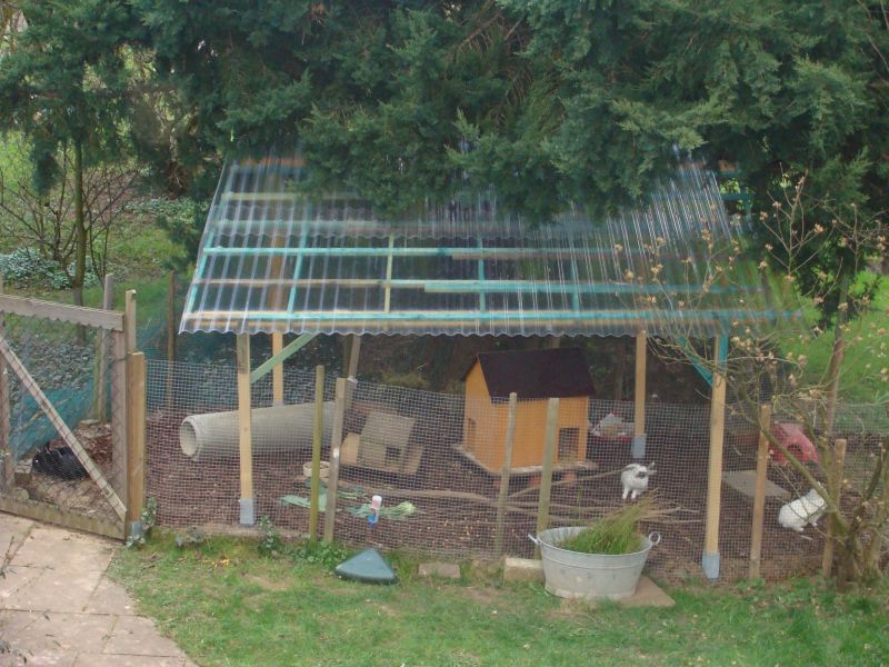 hasenstall 2009