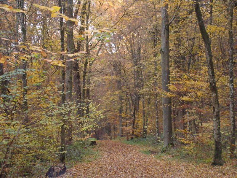herbst1
