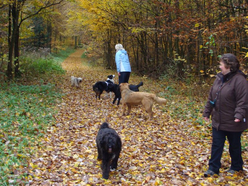 herbst4
