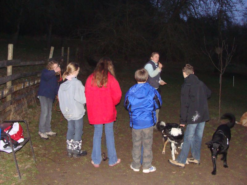 hundegruppe