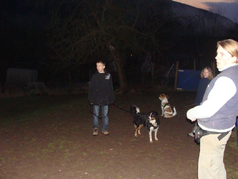 hundegruppe2