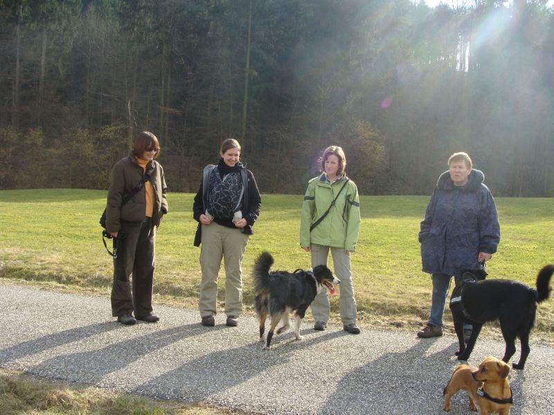 hundehalter