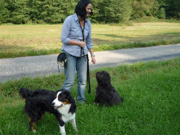 hundetreff