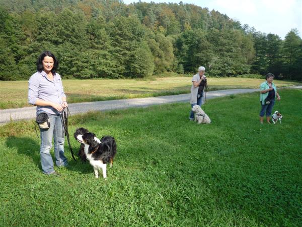 hundetreff2