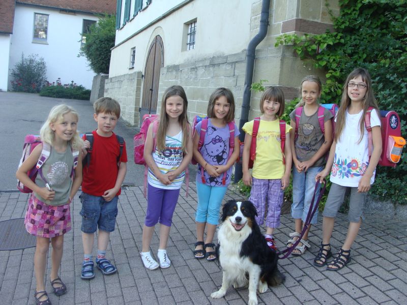 laufbus1