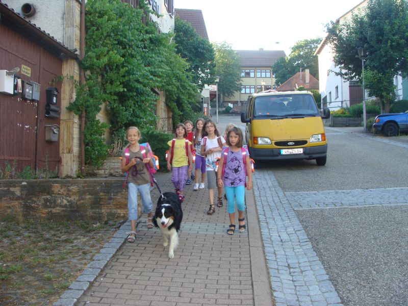 laufbus2