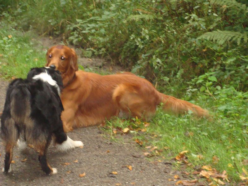 leo2 leo2
