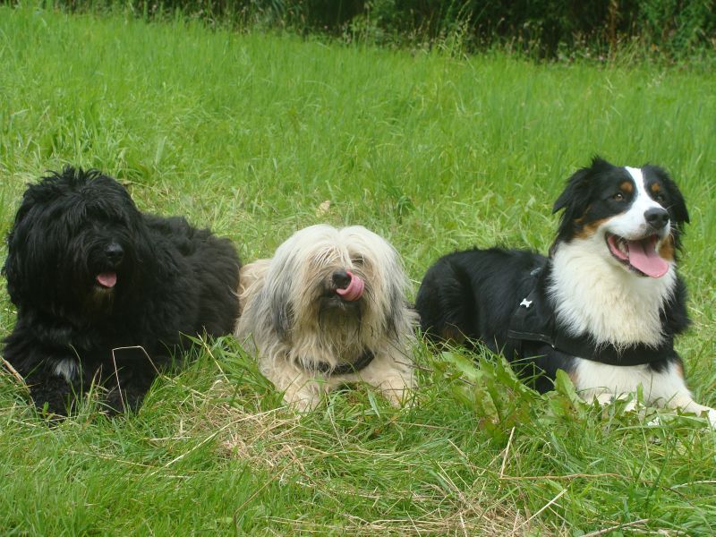 meine3