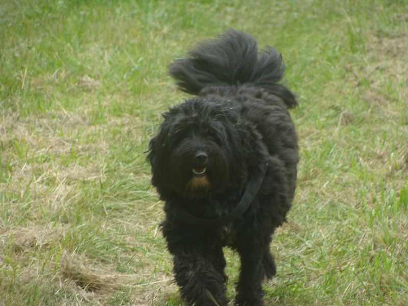 merlin071 merlin071