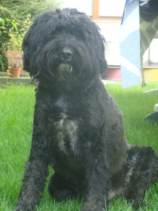 merlin077 merlin077