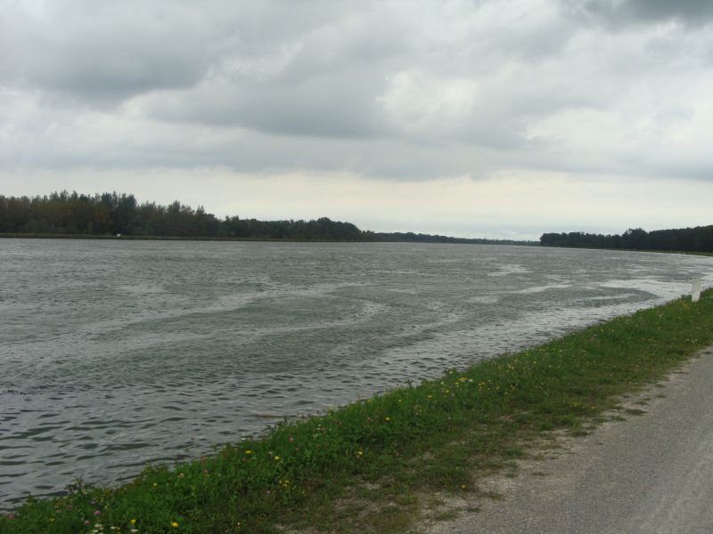 rhein