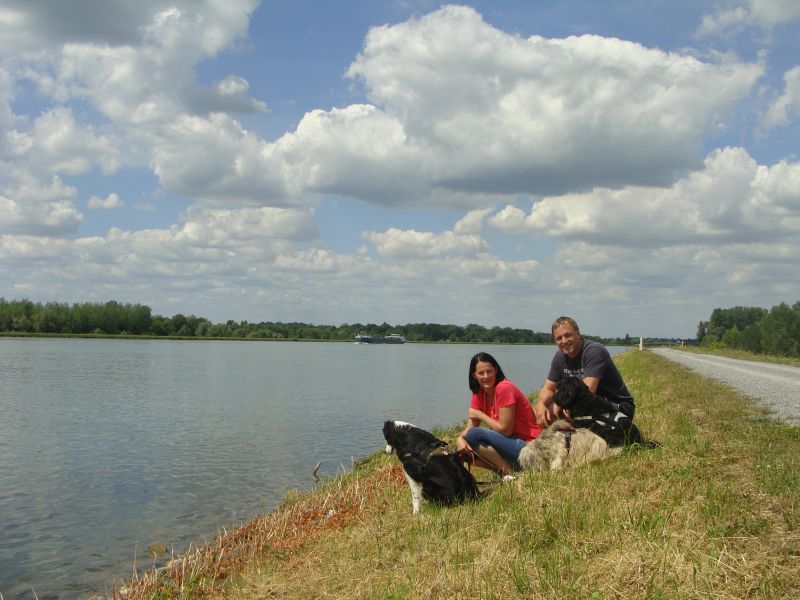 rhein4 rhein4