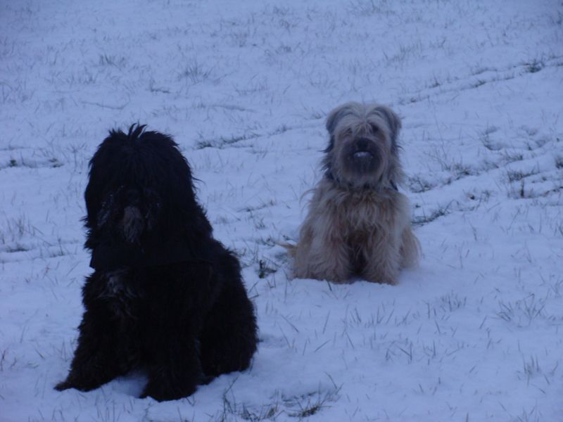 schnee2 schnee2