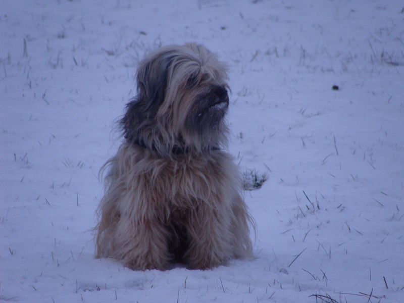 schnee4 schnee4