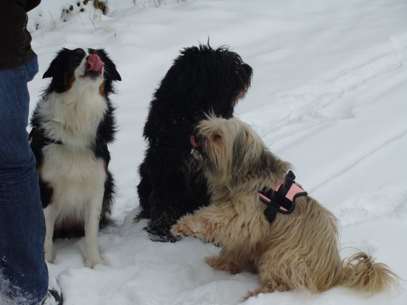 schnee5