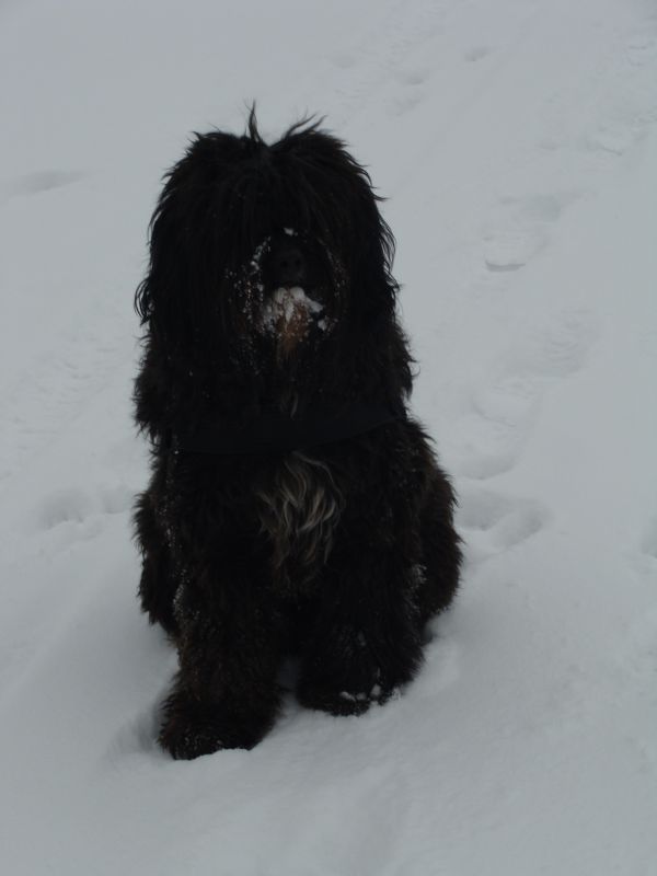 schnee6