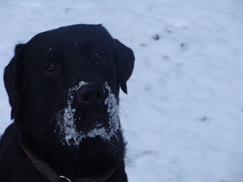 schnee7 schnee7