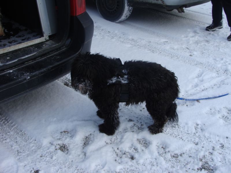schnee8 schnee8