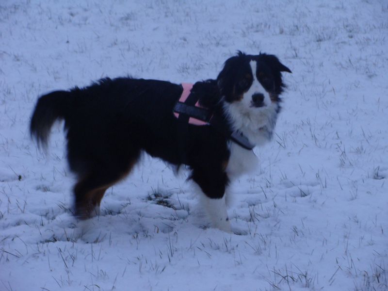 schnee9 schnee9