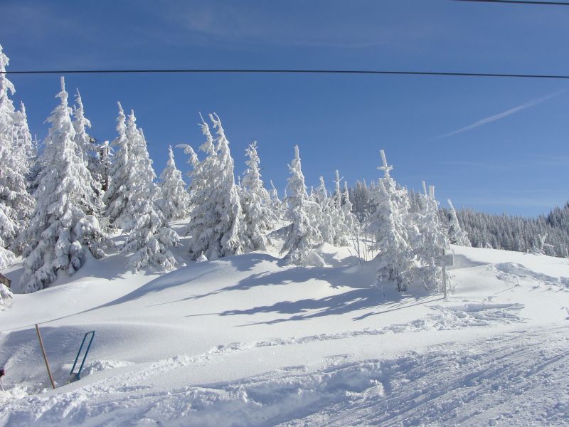 ski10wald ski10wald