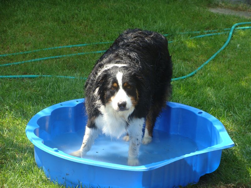 sommer1