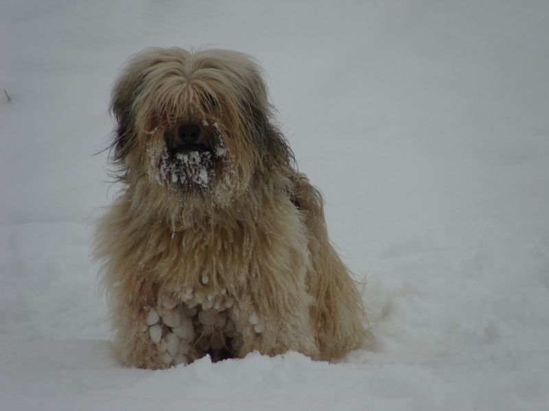 tessa9jahre