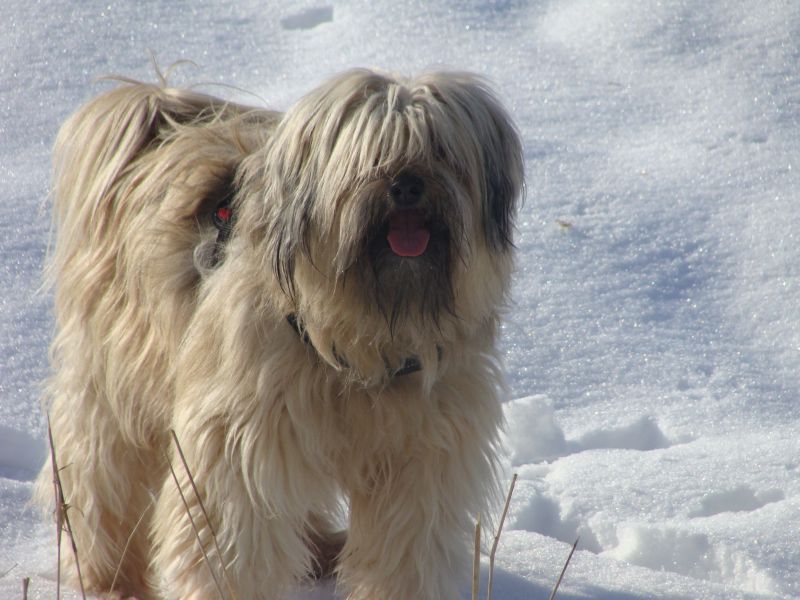 tessa 8 Jahrealt